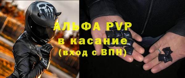 крисы Баксан