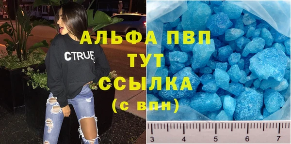 крисы Баксан