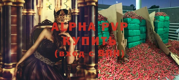 крисы Баксан