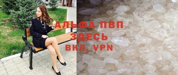 крисы Баксан