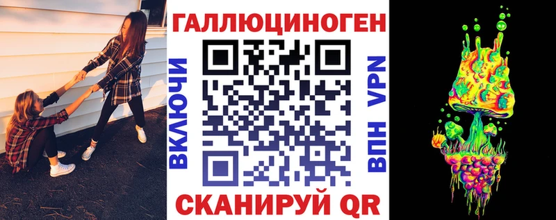 наркота  Могоча  Галлюциногенные грибы Cubensis 
